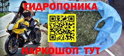 прущие грибы Наро-Фоминск