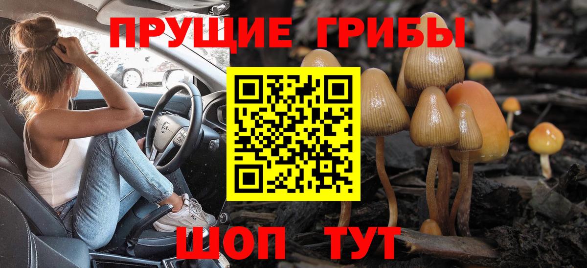 Усть-Илимск  Псилоцибиновые грибы мицелий  Вход с VPN 