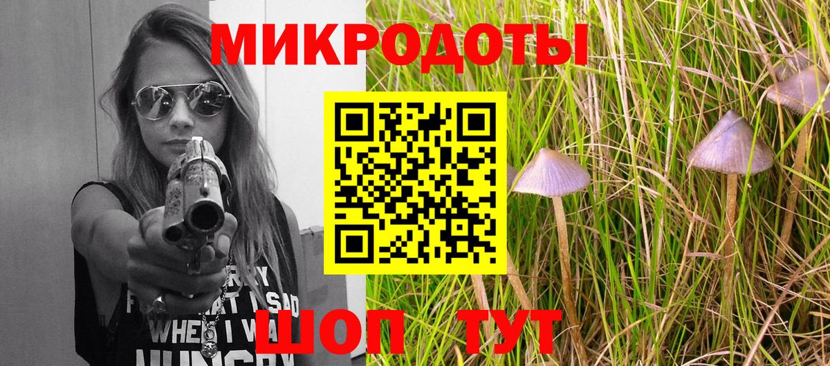 Псилоцибиновые грибы Cubensis Усть-Илимск